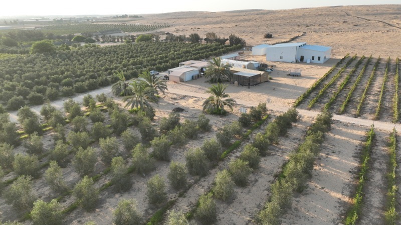 שמענו בין הגפנים 27.9.24: פרשת הכרם-דלתון, יינות לראש השנה, יקב תושיה המדברי, היקבים הגדולים מייללים ומשלמים