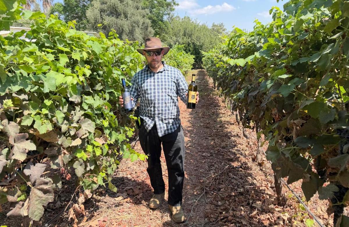 אחד על אחד עם אריאל ביר יינן יקב עמק האלה: "הגפן לא שוכחת אבל סולחת"